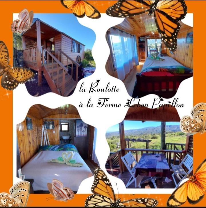 Ferme Lebon Papillon La Roulotte 호텔 르탕퐁 외부 사진